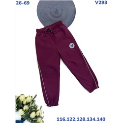 Брюки V293 бордовый