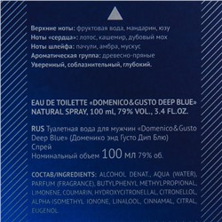Туалетная вода мужская Domenico&Gusto Deep Blue, 100 мл