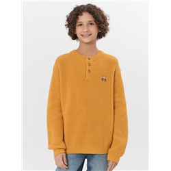 ДЖЕМПЕР ДЛЯ МАЛЬЧИКОВ 123492