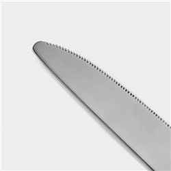 Столовые приборы «Стандарт», картонная коробка, толщина 2 мм, 36 предметов, нержавеющая сталь, серебристые