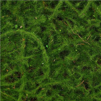Декоративная панель, 90×40 см, «Мох», Greengo
