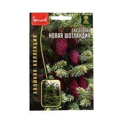 Семена Ель чёрная «Новая Шотландия», 20 шт., «Григорьев»