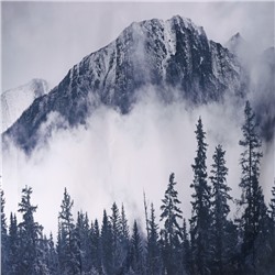 Штора для ванной Доляна «Сумерки» с люверсами, 180×180 см