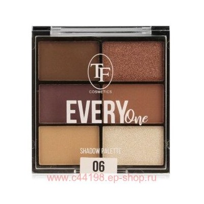 Triumph Тени Палитра тон 06 Коричневый 6 тонов Every One СTE 37