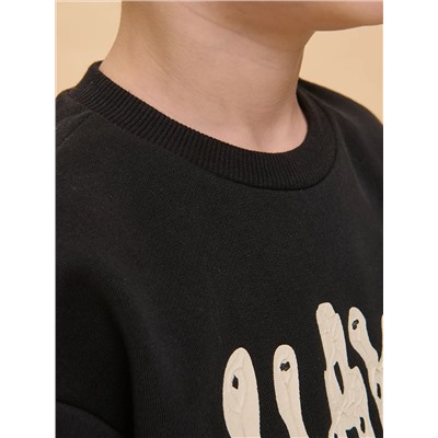 PELICAN Толстовка BFN3362