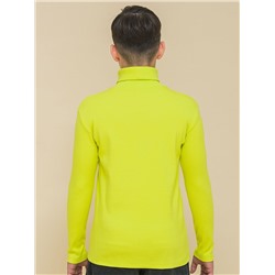 BFJS3335U (Джемпер для мальчика, Pelican )