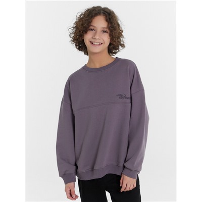 СВИТШОТ ДЛЯ МАЛЬЧИКОВ 123465