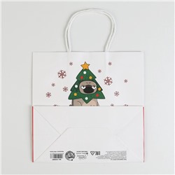 Пакет подарочный новогодний «А вас также», 22×22×11 см