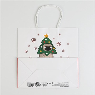 Пакет подарочный новогодний «А вас также», 22×22×11 см