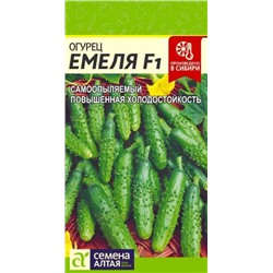 Огурец Емеля F1 Сем.Алтая