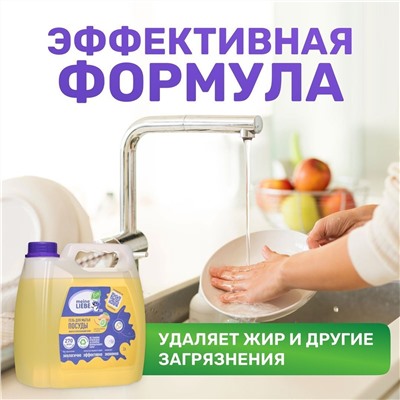 Гель для мытья посуды "Манго и освежающий лайм",концентрат, 3 л канистра,MEINE LIEBE