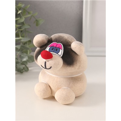 Набор для выращивания «ЭкоЖивчик. Енот», фигурка растущая в подарочной упаковке