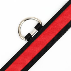 Ошейник с подсветкой Flash 3 режима свечения, размер S, ОШ 35-43×2.5 см красный