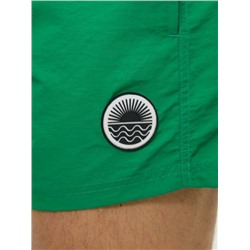 Купальные шорты муж. Caret