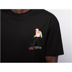 Футболка Arcteryx