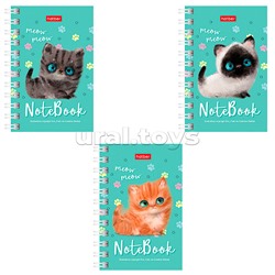 Записная книжка 40л. А7ф "Кошарики" клетка, на гребне