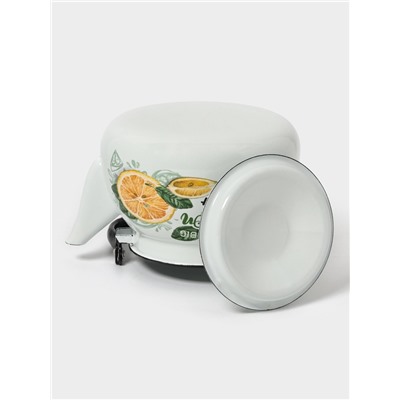 Чайник эмалированный «Лимонный сет», 3 л, металлическая ручка, белый