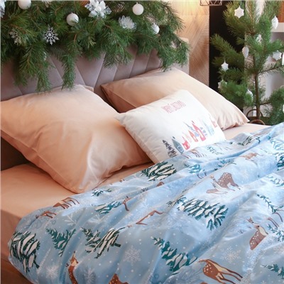 Постельное бельё дуэт «Этель. Зимнее волшебство», бязь