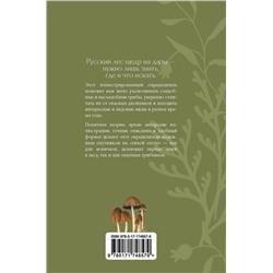АСТ Мария Сергеева "Грибы русского леса. Иллюстрированный определитель"