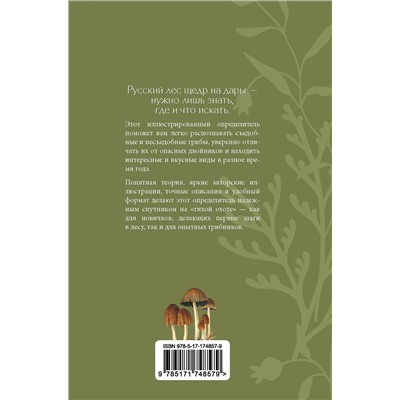 АСТ Мария Сергеева "Грибы русского леса. Иллюстрированный определитель"