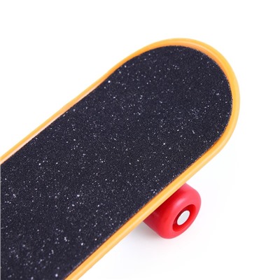 Игрушка для птиц «Скейт», МИКС