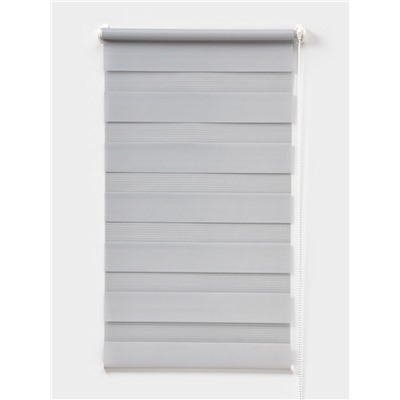 Штора рулонная 50×160 см «День и Ночь», по полотну 46×160 см, цвет стальной