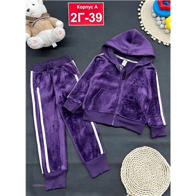 костюм с начесом 1983689-4