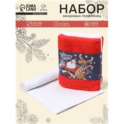 Набор новогодних махровых полотенец «Этель. Новогодний дуэт», 30×30 см - 3 штуки, хлопок 100%