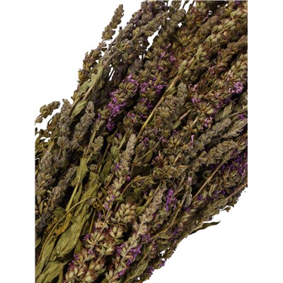 Веник для бани, шалфей, 45 (± 5 см), «Добропаровъ»