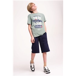 Шорты для мальчика