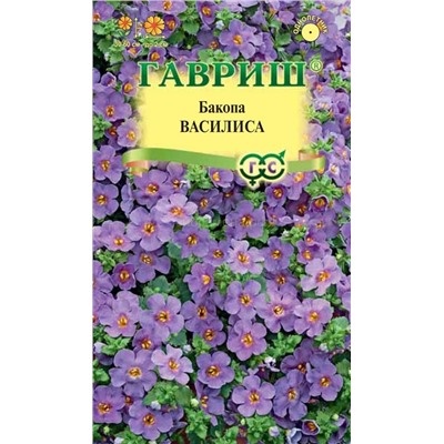 Бакопа Сутера Василиса (лавандовая) (Гавр)