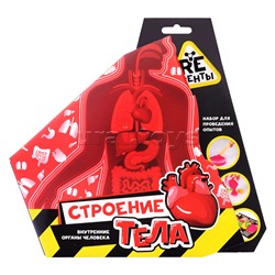 Научно-познавательный набор "Строение тела"