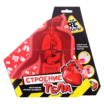 Научно-познавательный набор "Строение тела"