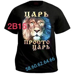 футболка (большие размеры)