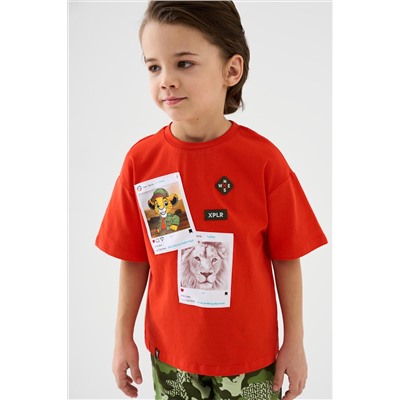 Фуфайка трикотажная для мальчиков (футболка) PLAYTODAY, 1239799