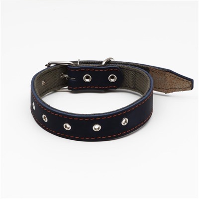 Ошейник комбинированный, безразмерный, 70×3.5 см, ОШ 25-60 см, кожа, брезент, синий