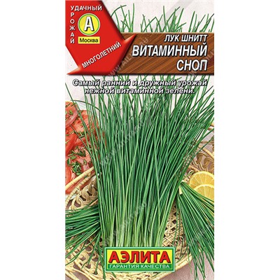 0591A Лук шнитт Витаминный сноп 0,5 г