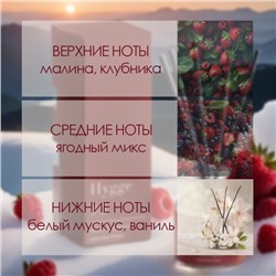 Диффузор ароматический Hygge #5 Красные ягоды, 100 мл