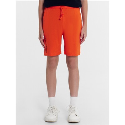 ШОРТЫ ДЛЯ МАЛЬЧИКОВ 133330