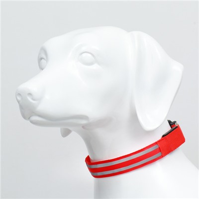 Ошейник с подсветкой Двойная полоса размер XL, ОШ 52-60×2.5 см, 3 режима свечения красный