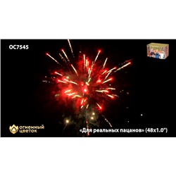 Фейерверк ОС7545 Для реальных пацанов (1" х 48)
