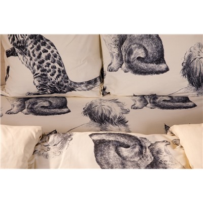 КПБ Барсик поплин 2 сп. Евро