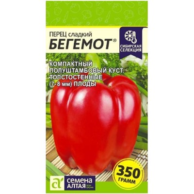 Перец сладкий Бегемот Сем.Алтая
