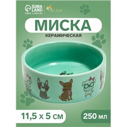 Миска керамическая «Важный пес» 250 мл - 11.5×11.5×5 см, зелёная