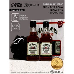 Подарочный набор «На удачу», гель для душа, шампунь для волос, мочалка для тела, Чистое счастье