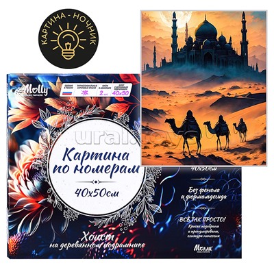Картина по номерам 40х50 "Арабская ночь" USB LED подсветка (21 цвет)