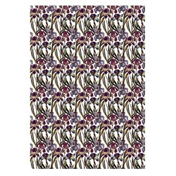 Бумага упаковочная  70х100 см 80 г/м2 "FLORA.ИРИСЫ" 2-811/03 Bruno Visconti