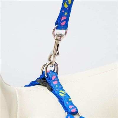 Комплект «Цветные следы», ширина 1 см, поводок 120 см, шлейка 23-35 см, синий