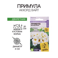 Семена Примула "Аккорд Вайт", ц/п,  5 шт