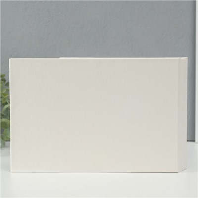 Фотоальбом на 100 фото кожзам 10×15 см «Розовый чай», в коробке, 4×26×18 см